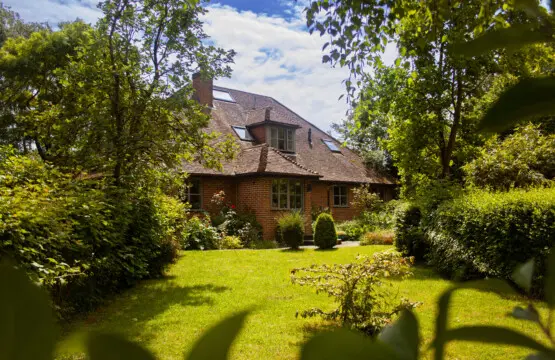 7be816f6 0199 4fdb a8e6 7a0a4f25ddfe.jpg