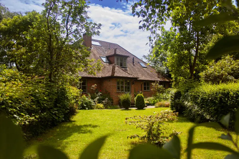 7be816f6 0199 4fdb a8e6 7a0a4f25ddfe.jpg