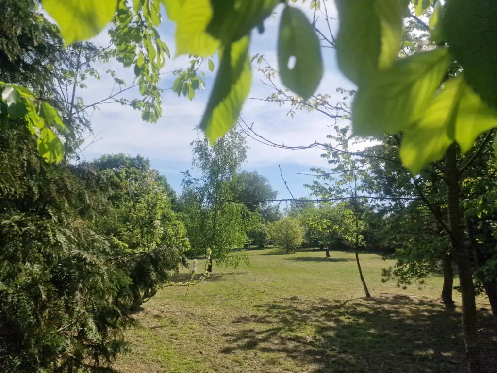 e91eb38d 900e 409e 8f96 6a61cb4d98bc.jpg