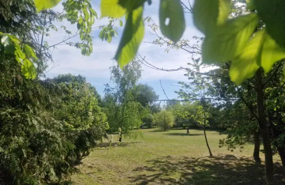 e91eb38d 900e 409e 8f96 6a61cb4d98bc.jpg