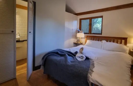 0ac5346e 95c7 46d5 b7b7 4599d49267f2.jpg