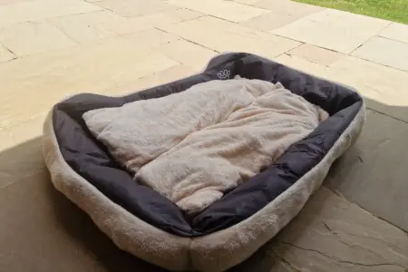 156333ad 174f 4fa8 8042 b5eabc52d03f.jpg