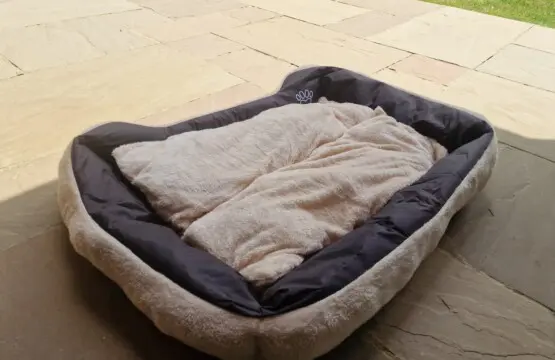 156333ad 174f 4fa8 8042 b5eabc52d03f.jpg