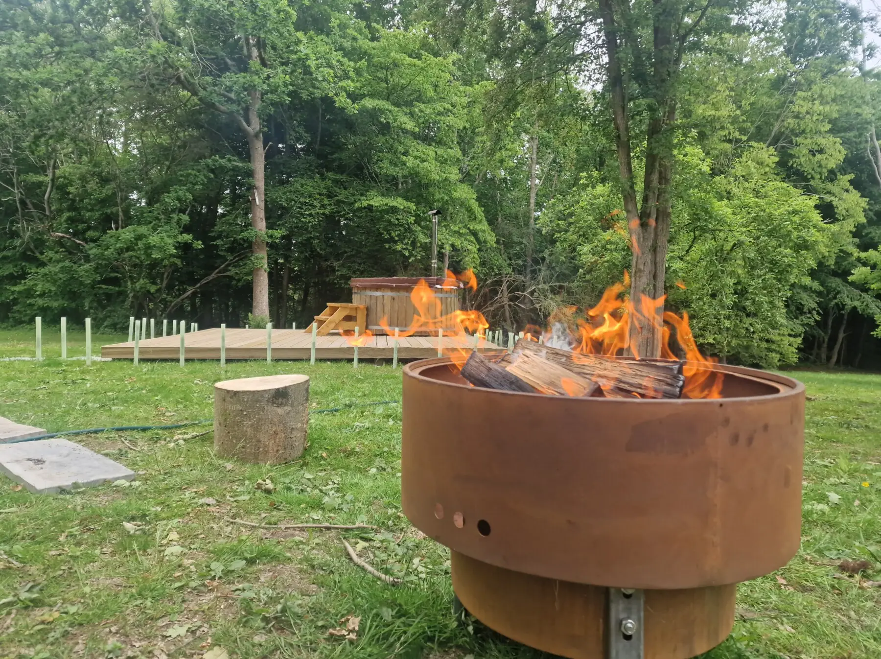 2e62c8b1 c2fa 411e ae77 582838d8e410.jpg