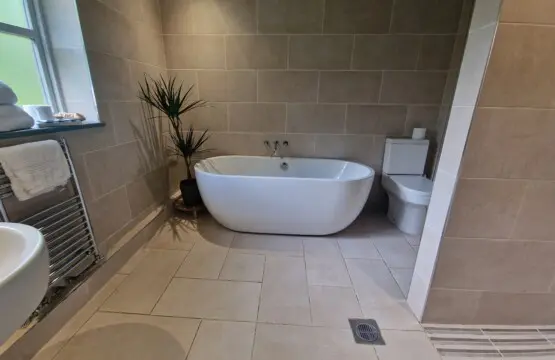 2ed6584e e56a 4e83 a89a c276b942e2e5.jpg