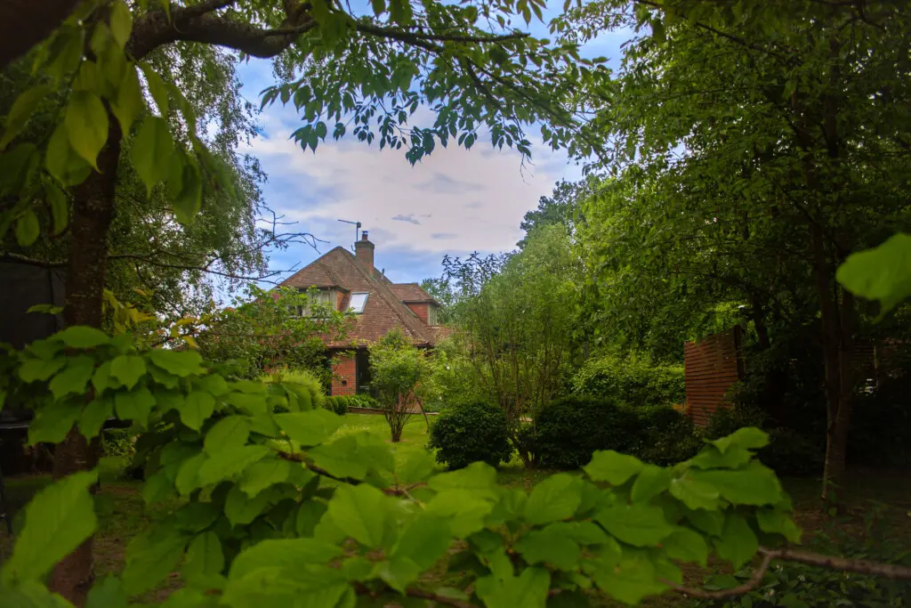 301d4a65 af91 40ae 992b cf39e2367294.jpg