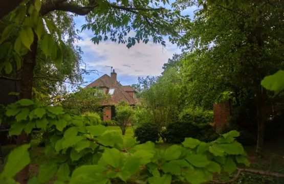 301d4a65 af91 40ae 992b cf39e2367294.jpg