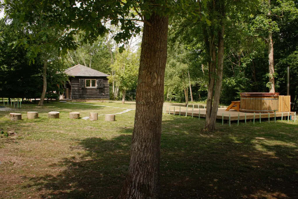 50b1c55c 6e97 45b7 a4d6 1c1a975244dc.jpg