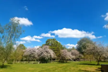 6e382cdd 9794 4132 acbb 8c66fd64333c.jpg