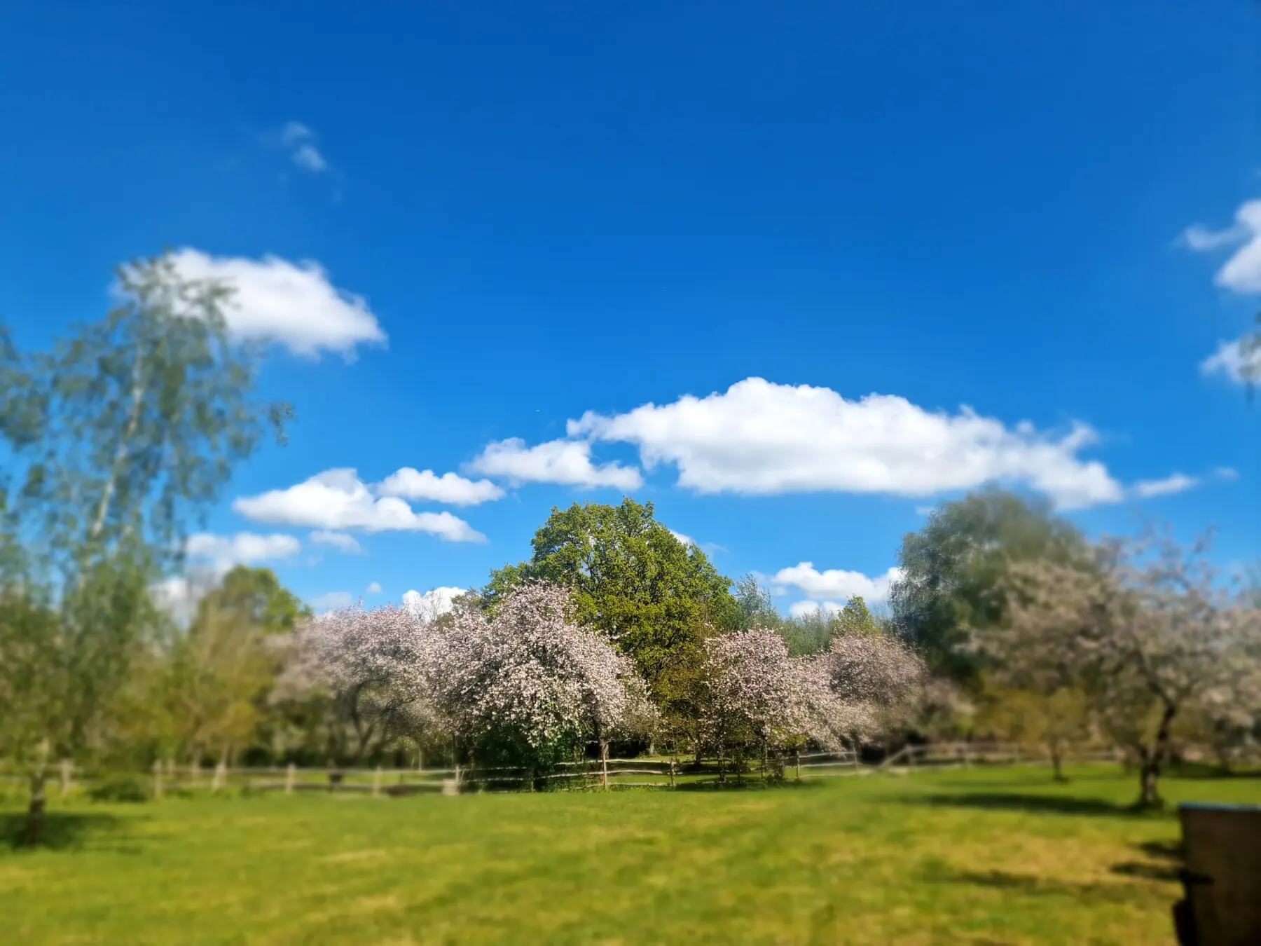 6e382cdd 9794 4132 acbb 8c66fd64333c.jpg