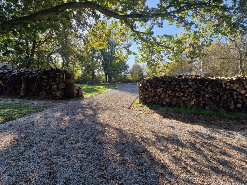 719f24ee 429e 4e03 93bf a41af35d6068.jpg