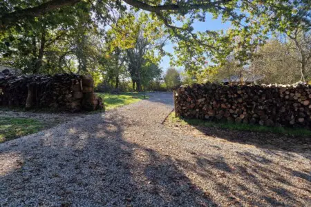 719f24ee 429e 4e03 93bf a41af35d6068.jpg