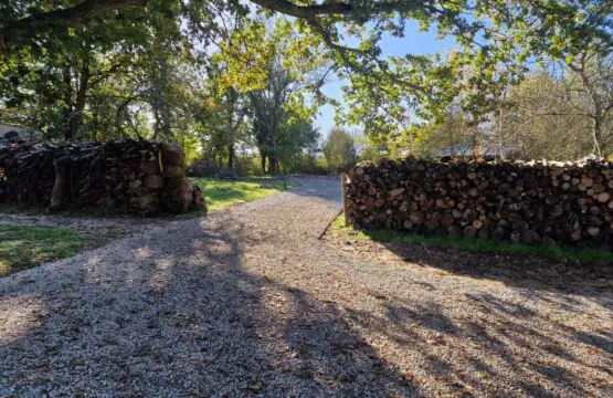 719f24ee 429e 4e03 93bf a41af35d6068.jpg