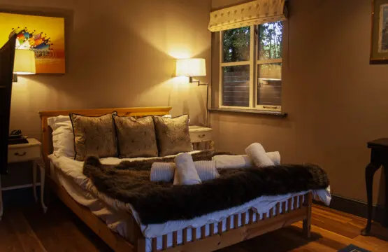 76b951cc 291f 42fd ae21 7c18413032a3.jpg