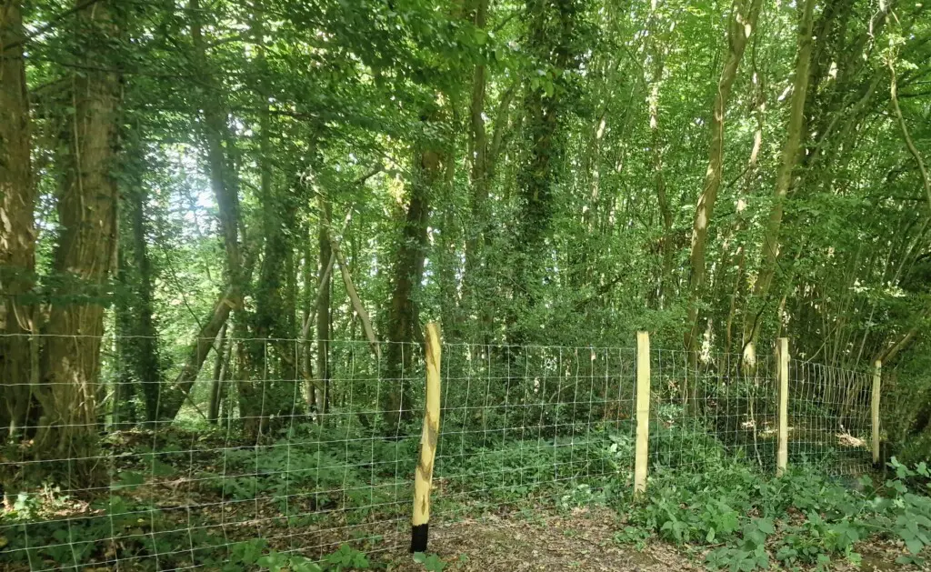 7e0e9a89 6321 46f2 b2c8 474ccfb9012d.jpg