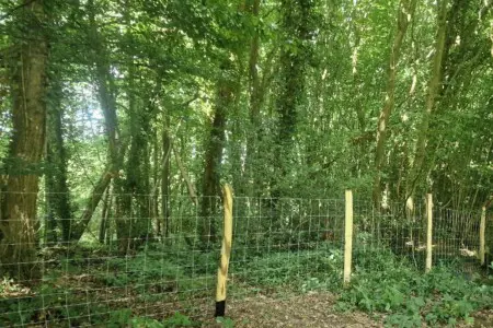 7e0e9a89 6321 46f2 b2c8 474ccfb9012d.jpg