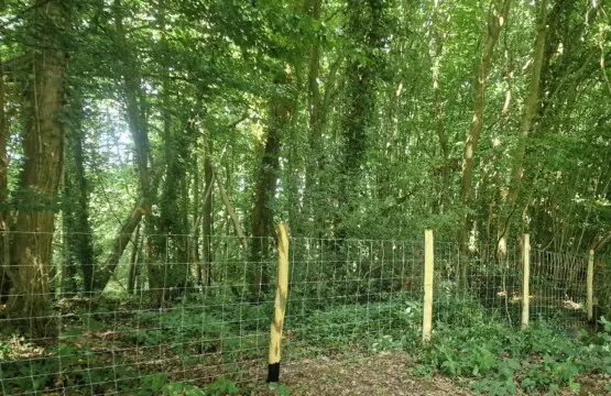 7e0e9a89 6321 46f2 b2c8 474ccfb9012d.jpg