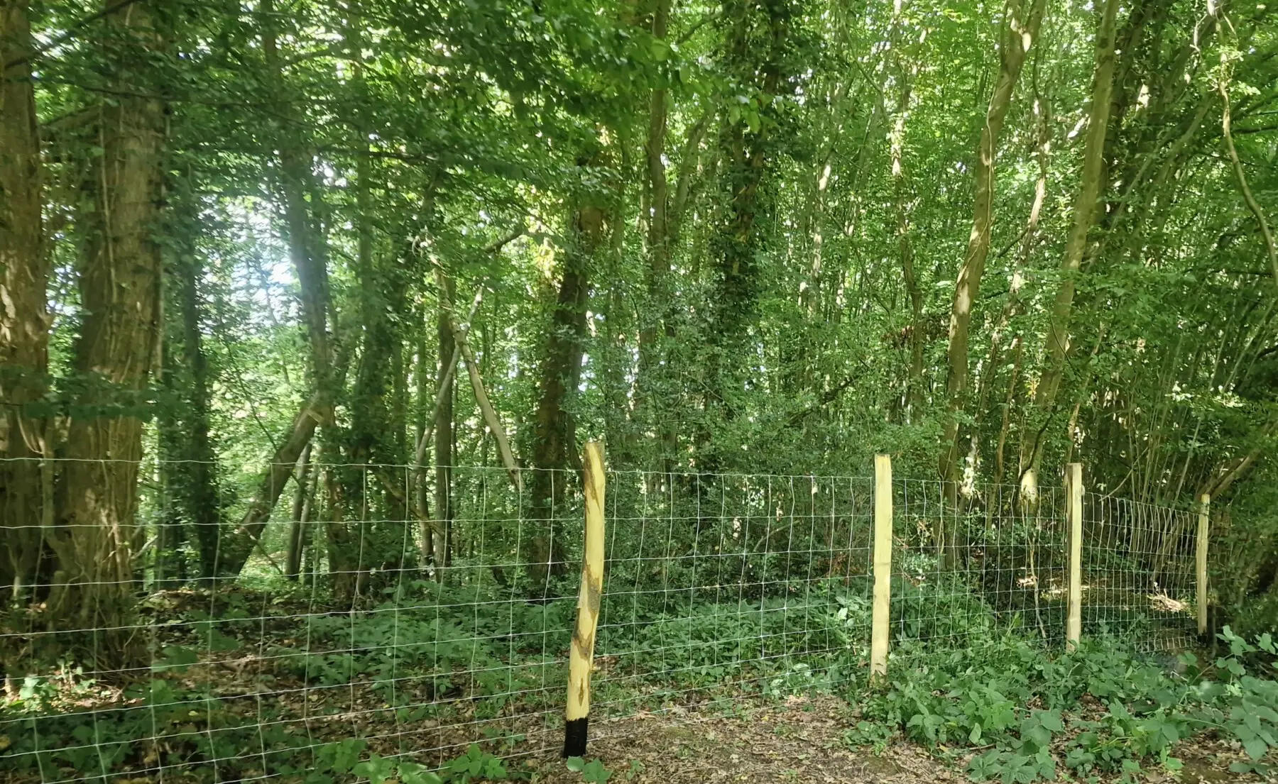 7e0e9a89 6321 46f2 b2c8 474ccfb9012d.jpg