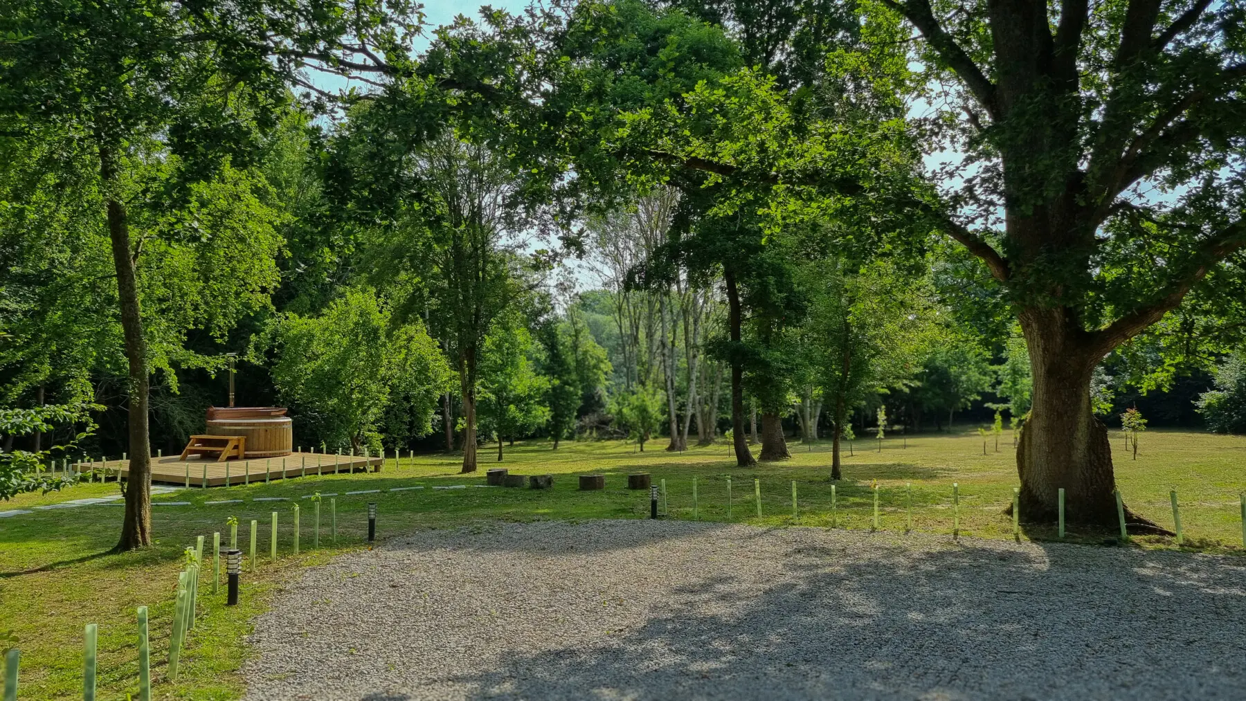 c93e6ae6 ef1e 460c 8f01 02dc4b6223f3.jpg