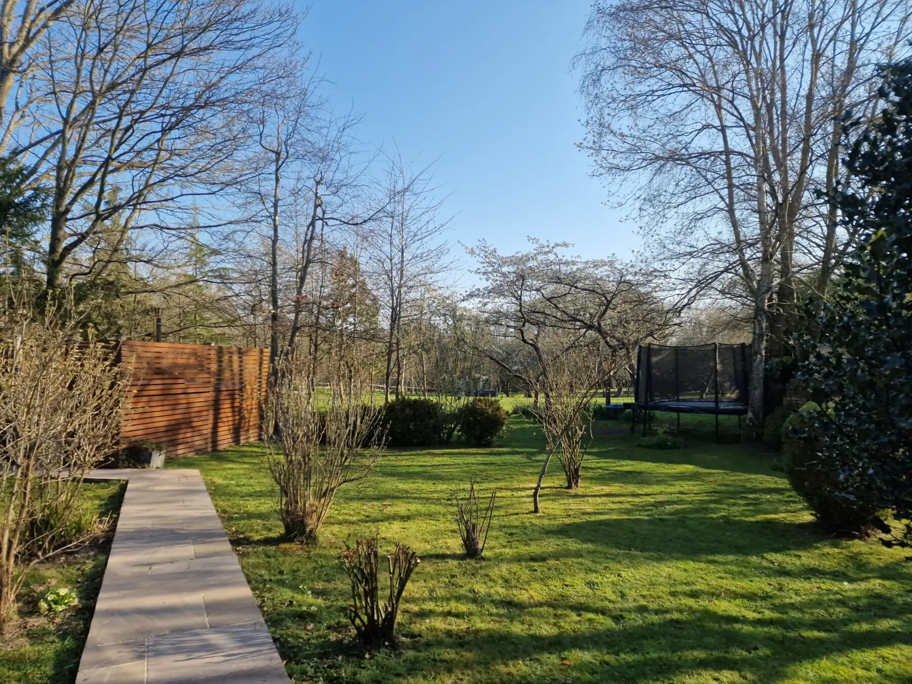 cbc9bda6 0b81 426e b1df 00ccdb703754.jpg