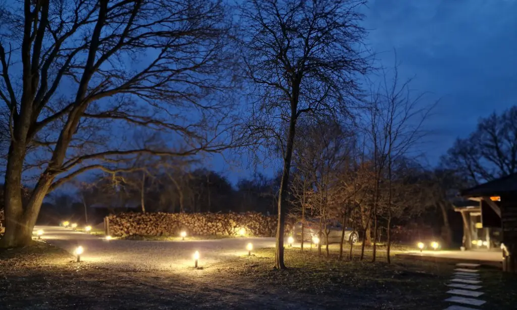 de1e2bc7 5db5 46e8 9bd5 5b21660f715d.jpg