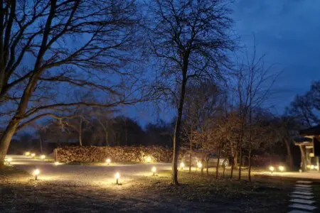 de1e2bc7 5db5 46e8 9bd5 5b21660f715d.jpg