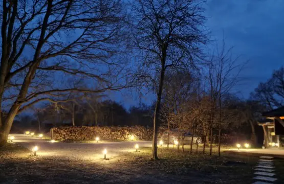 de1e2bc7 5db5 46e8 9bd5 5b21660f715d.jpg