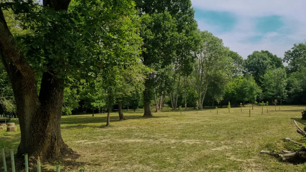 fdc9ad76 0e12 49e3 b624 084441515d48.jpg