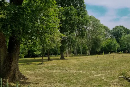 fdc9ad76 0e12 49e3 b624 084441515d48.jpg