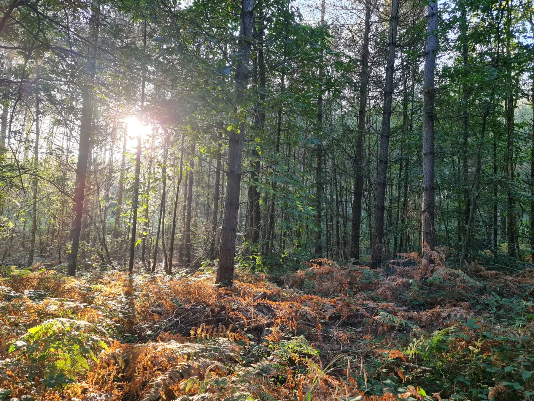 2e61eb38 5470 468c 920e f3c1d3175ed3.jpg