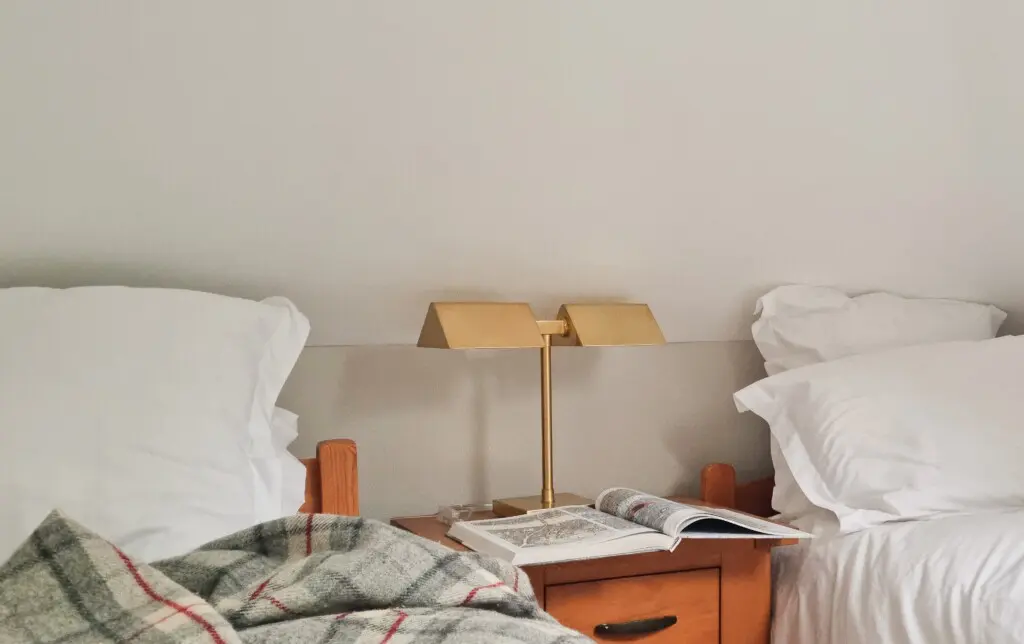 c9081496 a95c 44f3 b571 e8acd1ab3209.jpg