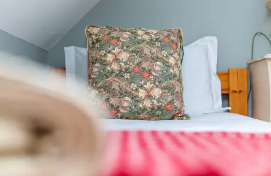 d1217264 24a0 4cec 8339 8f9a6b1794e7.jpg