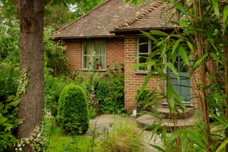 f38f9819 49b4 40ba 9ac8 2ccf6dc97a88.jpg