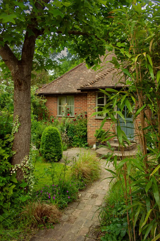 f38f9819 49b4 40ba 9ac8 2ccf6dc97a88.jpg