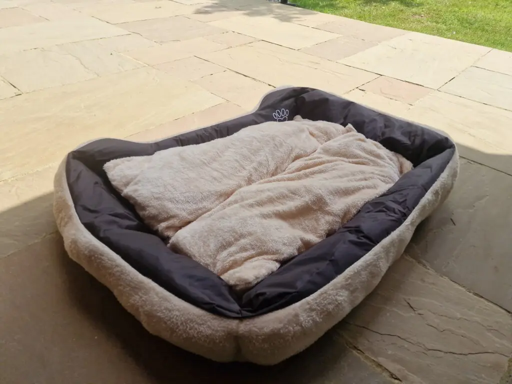 0b1341fb 96a9 496f 976e 9c22d2d88614.jpg