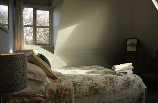 0ba769ea a5af 4179 a2d1 71f02859296f.jpg