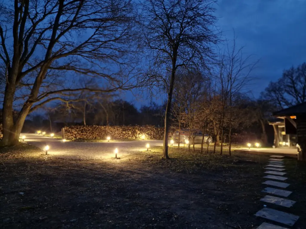 0d26be2a 16cb 42c4 ac70 ff4d3938cab5.jpg