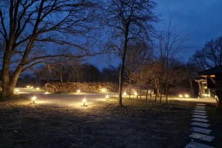 0d26be2a 16cb 42c4 ac70 ff4d3938cab5.jpg