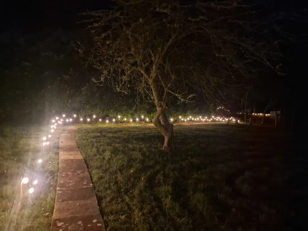 1dd39cef 9d63 410d b848 d20e4b12edef.jpg