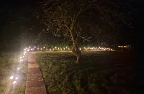 1dd39cef 9d63 410d b848 d20e4b12edef.jpg