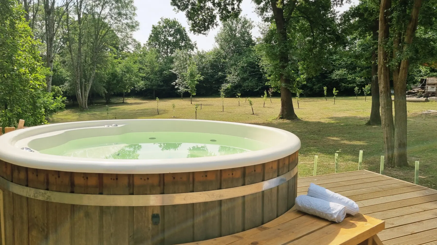 214ed264 b6b4 47c2 97d2 b05bda79d2dc.jpg