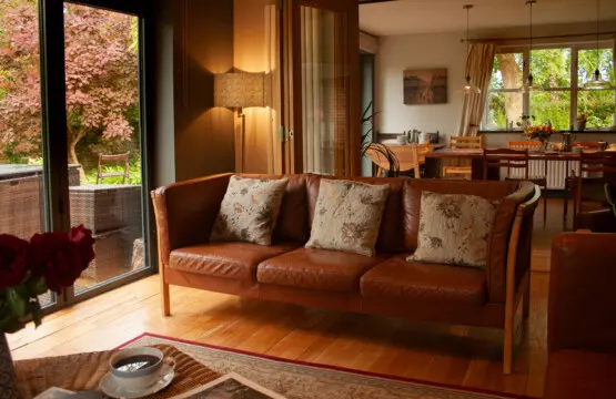 24fc1de6 c543 4e72 988a 4b6623d404f2.jpg