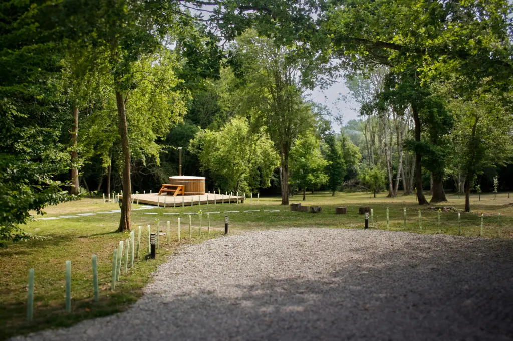 285c7db5 352c 4b2f 9f80 91a2852197fc.jpg