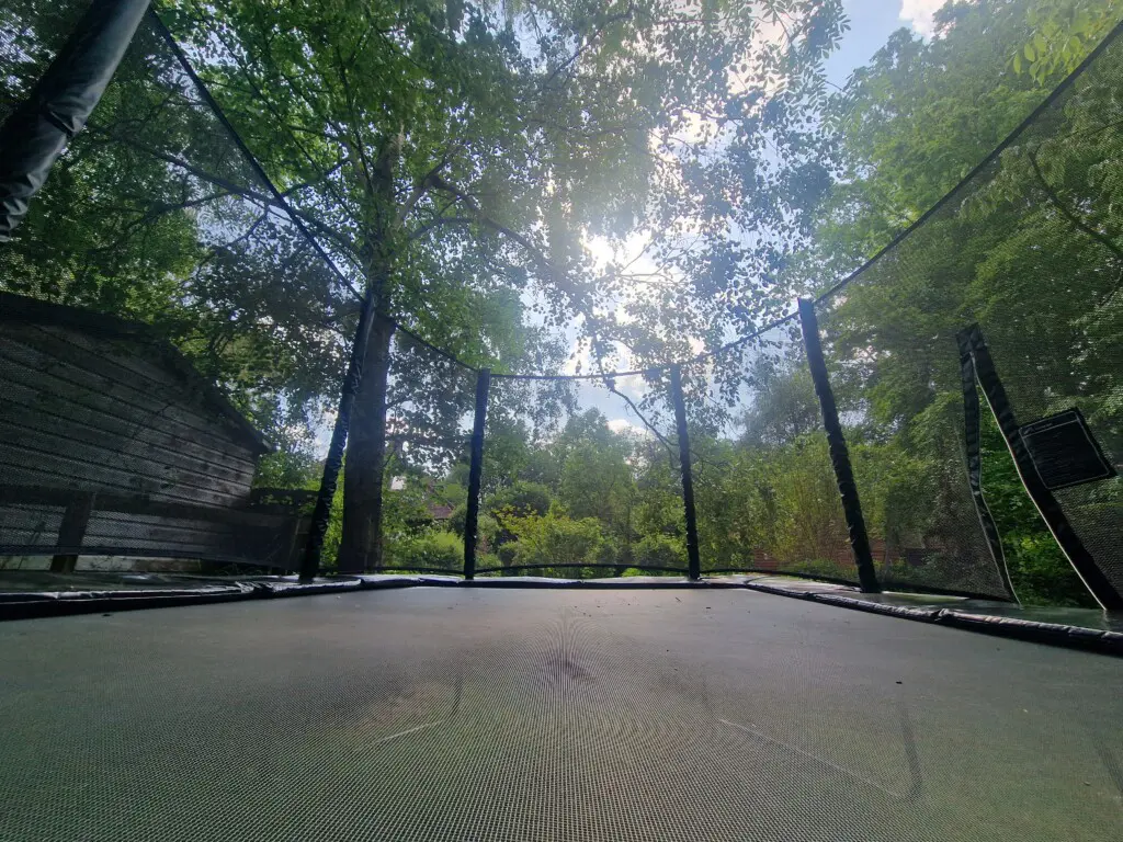 2fc25188 9024 4f1c bcd6 b93199e1d8b6.jpg