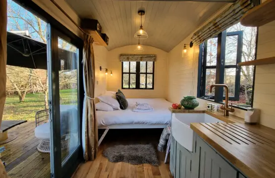 312b74e3 2e3b 4588 9a1e cc20fe68401f.jpg