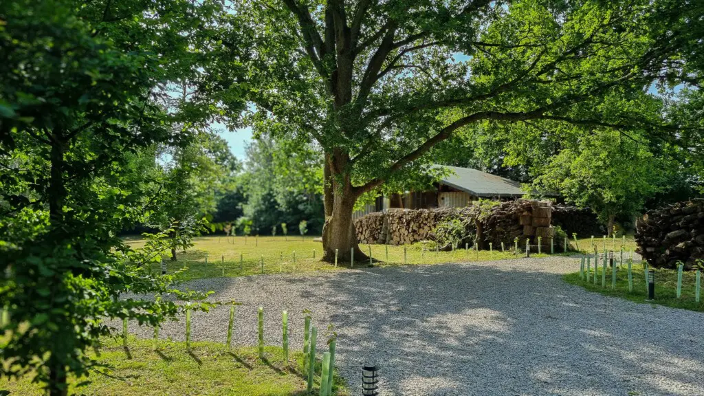 34bc1a4a 5c95 4d3e b998 d66e59bba9e8.jpg