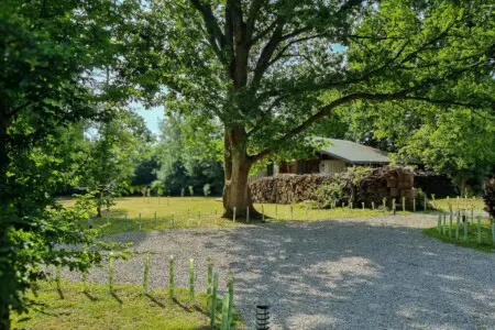 34bc1a4a 5c95 4d3e b998 d66e59bba9e8.jpg