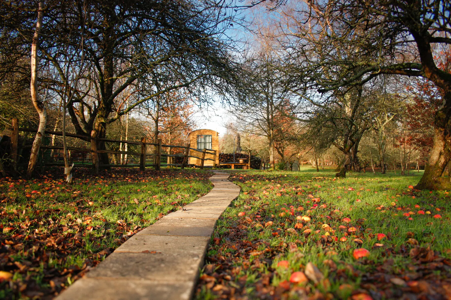 3e1b7922 8c1e 44e5 aea5 e51ab24062c5.jpg