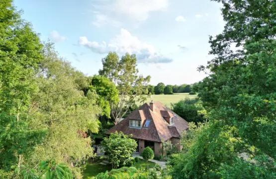 532b8898 12de 42c2 86cb 06c74bebb8fe.jpg