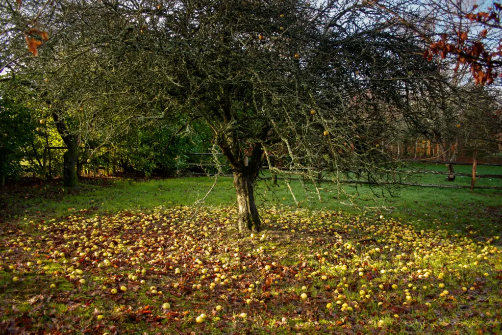 5fb581a2 53a1 4318 834f 87a5ef1ce5a0.jpg